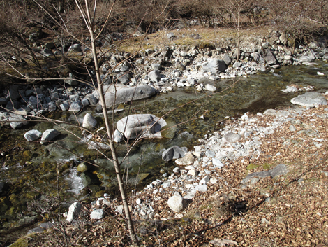 20190121hike (216)